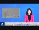 ハマスの「教戦マニュアル」血まみれの内容が明らかに、新中国連邦の情報の正確さを裏付ける