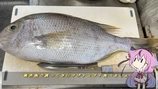 珍食材が食べたい！#163 サザナミダイのお刺身