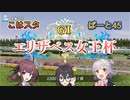 こはるりスタリオン　第45レース