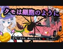 【ドイツ支部の蜘蛛系SCPを紹介】かぼちゃと仮装と魔女やこうもり…それと蜘蛛。なんで蜘蛛？ハッピーハロウィン！【ゆっくり解説】【SCP解説】【SCP-023-DE】#15