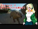 【COEIROINK実況】イマジナリー実況者プラネットズー【Planet Zoo】