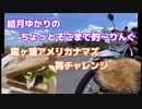 ちょっとそこまで釣～りんぐ「霞ケ浦のアメリカナマズ/リベンジ」【結月ゆかり】