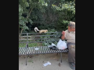 ホモと見る動物使いのおっさん