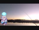 イタコのへっぽこ釣り日記　２０２３０９１４　２ヶ月ぶりのお魚