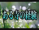 【ついムキになってしまうAA職人のことを歌ってみた】〜替え歌〜 「ある寺の経験」 (元歌:ひと夏の経験／山口百恵)