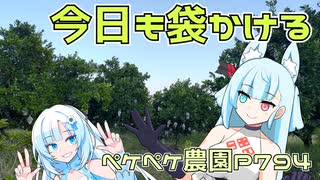 2023年10月26日　農作業日誌P794　出稼ぎ先でやっぱりみかんの袋かけ