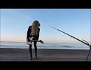 ROYAL JESTER - Wings of Tomorrow　弾いてみた　おかま
