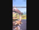モンスターハンター　リオレイア　★5