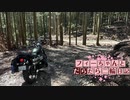 【CeVIO車載】フィーちゃんとだらだら二輪日記　群馬と長野の間