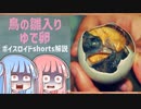 鳥の雛入りゆで卵【ボイスロイド解説】