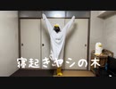 寝起きヤシの木 を踊ってみたver.のぶめ