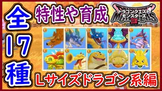 DQM3 Lサイズ詳細ドラゴン系編！全17種の特性や育成方法や使用方法など！ワイバーンドッグが優秀！？ ドラクエモンスターズ3 攻略 実況プレイ【メイルス】