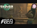 【ティアキン＃89】凡人が行く龍泪旅