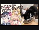 【マキしゅおりりせ】保護猫カフェに遊びに行くよ 【Part 6】