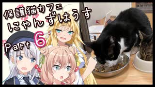 【マキしゅおりりせ】保護猫カフェに遊びに行くよ 【Part 6】