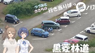 【CeVIO車載】つづみとささらの行き当たりばっ旅 part7　黒菱林道