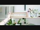 Chiyuri Chiyuri Chiyuri @長山 知由理 #favs
