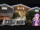 愛知県大府市の喜多の湯【ぶらり日帰り温泉】