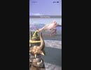 モンスターハンターNOW パオウルムー　★5