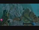 【Switch】リンクがゾナウとゼルダ探し旅【プレイ動画】part72