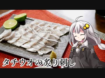 釣れなくても料理！タチウオの炙り刺し（あかりver）！【VOICEROIDキッチン】