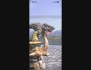 モンスターハンターNOW ボルボロス　★1