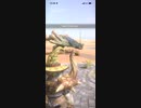 モンスターハンターNOW プケプケ　★4