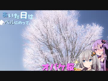 あいた日はベルにのって。３【オバケ桜】