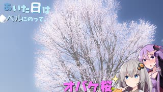 あいた日はベルにのって。３【オバケ桜】