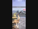 モンスターハンターNOW トビカガチ　★3