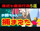 【軽犯罪】警察官のコスプレは違法！？【VOICEROID解説】No.13
