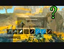 言葉が通じなくても世界は救える　TotKバーサーカーモード Part11