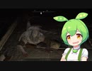 【ELDEN RING】エルデンリングずんだもんたん■241