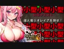 小型モンスターに脳を破壊されたVtuberの末路… (リオレイア戦)【MHG裸縛り】【Monster Hunter G / Wii版】