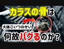 【SkyrimAE】被害報告多数！カラスの骨の進行不能条件とその対策！【ボイスロイド解説】