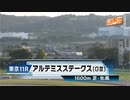 【競馬】2023年 第12回アルテミスステークス(GⅢ)【チェルヴィニア / C.ルメール】