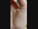 俺の手の痙攣part1