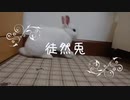 仔うさぎくうらさんは小さな破壊神？！【徒然兎〜つれづれうさ〜 】#11