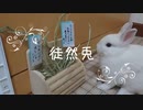 仔うさぎくうらさんと七夕祭り【徒然兎〜つれづれうさ〜 】#21