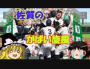 ゆっくり白球の記憶3～2007年第89回全国高等学校野球選手権大会