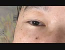 【コメント無】ニンポー 2023年10月29日00時42分 めちゃ怖い夢で飛び起きた【ニコ生録画】
