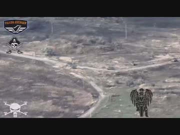 ホモと見る次々産み落とされるロシア兵たち