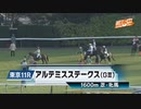【ウマ娘風】第12回アルテミスステークスGⅢ(2023)【チェルヴィニア】