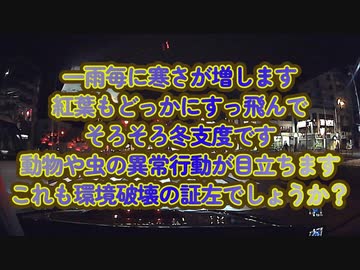 地球から先に淘汰されるのは人間かそれとも動物か？