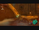 【Switch】リンクがゾナウとゼルダ探し旅【プレイ動画】part74