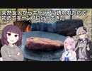 突然友人からキャンプに誘われたので、初めてキャンプに行ってきた【VOICEROIDキャンプ】