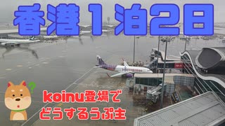 香港１泊２日～koinu登場でどうするうぷ主～