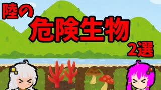 【VOICEROID解説】ゆかり先輩と見る危険生物【陸編⑤】