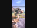 モンスターハンターNOW リオレイア　★5