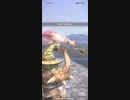 モンスターハンターNOW パオウルムー　★5